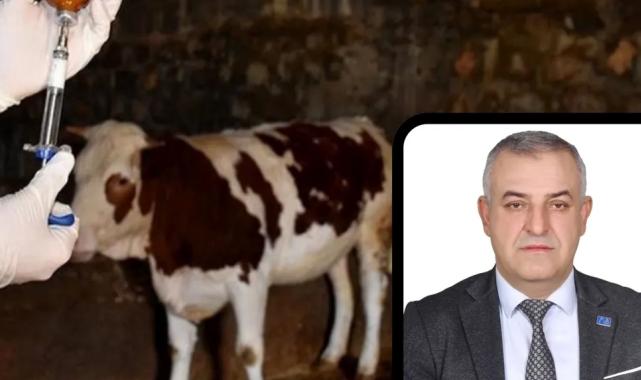 Bursa Mustafakemalpaşa’da şap alarmına A Parti açıklaması