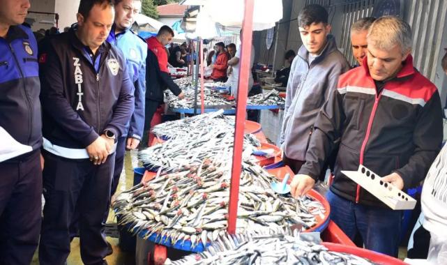 Bursa Yenişehir’de balık pazarına sıkı denetim