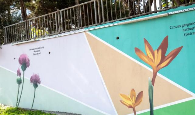 Bursa’nın hazineleri duvarlara işleniyor