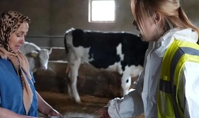 Denizli’de ücretsiz veteriner danışmanlık hizmeti yaygınlaşıyor