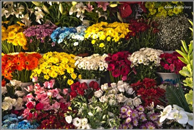 Çiçekçi Telefon Numarası, Merkezdeki ve Üniversiteye Yakın Çiçekçiler