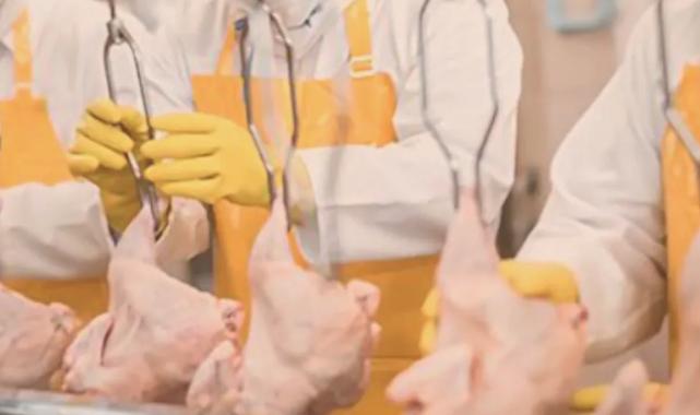 Filipinler’e kanatlı eti ve su ürünleri yolu açıldı