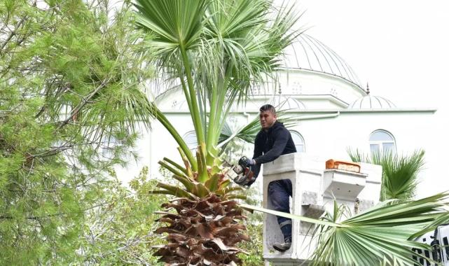 İzmir Çiğli’de sonbahar bakımı