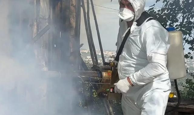 Kahverengi kokarca mücadelesinde 1 milyon haneye ilaçlama