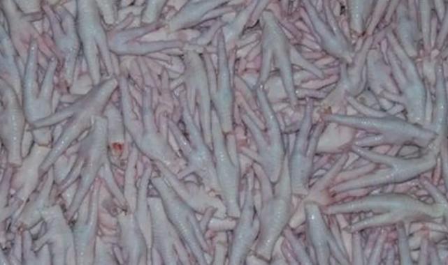 Kanatlı sektörü, Çin’e tavuk ayağı iznini bekliyor