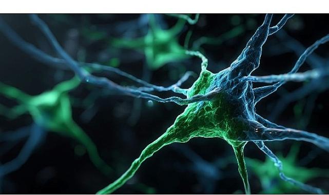 Kaspersky, Windows Server sistemlerini hedef alan PassiveNeuron siber casusluk operasyonunu ortaya çıkardı