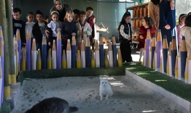 Kayseri Kocasinan’da can dostlar için özel kasaba