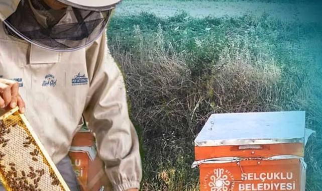 Konya Selçuklu’da arıcılığa güçlü destek