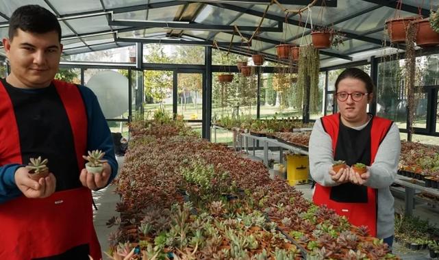 Konya Selçuklu’da otizmliler sukulentleri sevgiyle yetiştiriyor