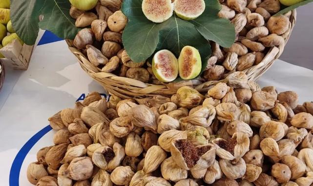 Kuru incir ihracatında tarihi rekor