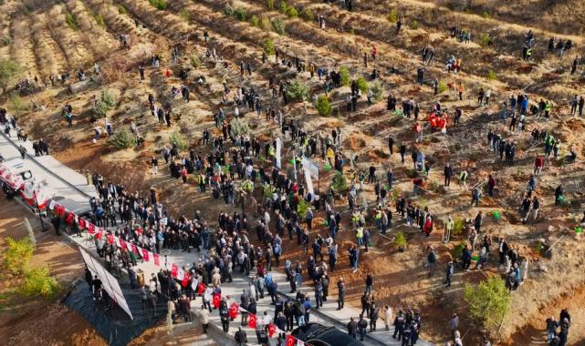 Malatya’da deprem şehitleri hatıra ormanı yenileniyor