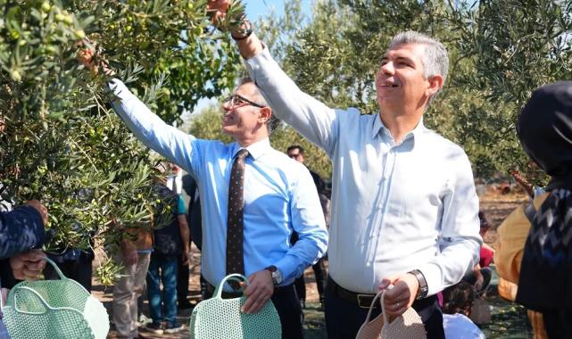 Manisa Soma’da zeytin hasadı şenliği