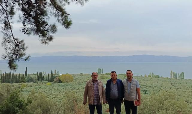 Marmarabirlik’ten ‘anıt zeytin ağaçları’na özel marka vizyonu