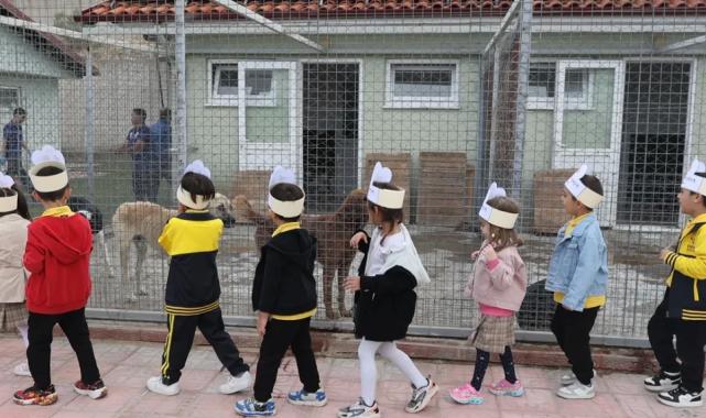 Muğlalı minik yüreklerden can dostlara ziyaret