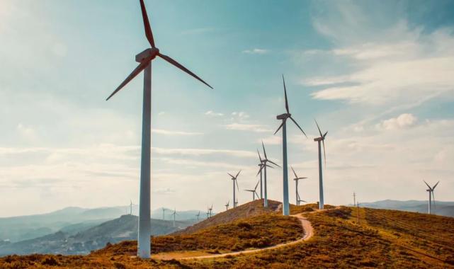 Rüzgar enerjisi başvurularına ayar