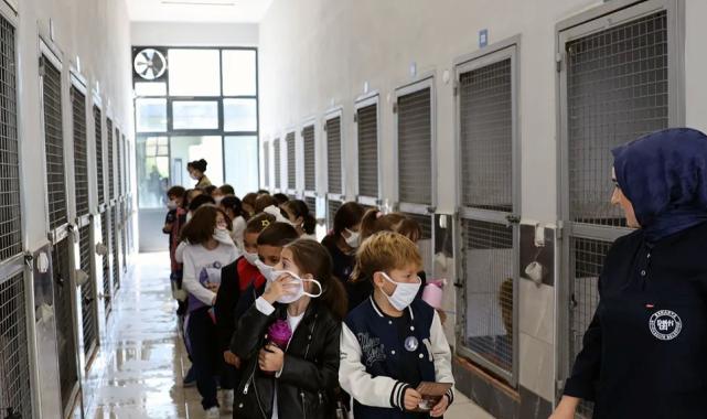 Sakarya’da can dostların yeni dünyasına hayran kaldılar