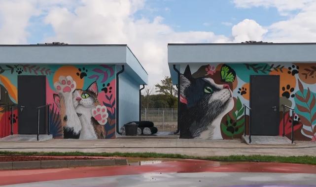 Sakarya’da Doğal Yaşam Kampüsü’ne sanatla dokunuş