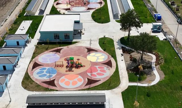 Sakarya’da sokak hayvanlarına güvenli yuva