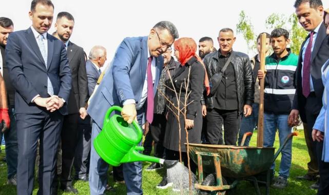 Trabzon’da 37 bin fidan toprakla buluştu