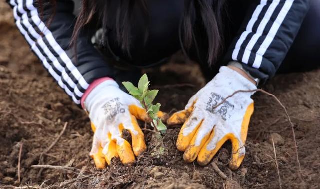 Uludağ Elektrik’ten doğa dostu çözüm