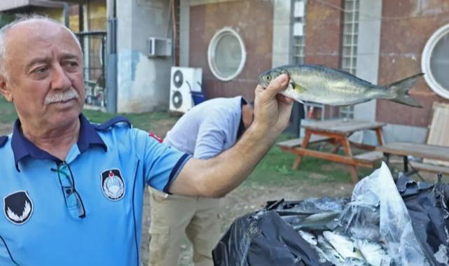 Antalya Büyükşehir zabıtasından otogarda usulsüz taşımacılığa operasyon