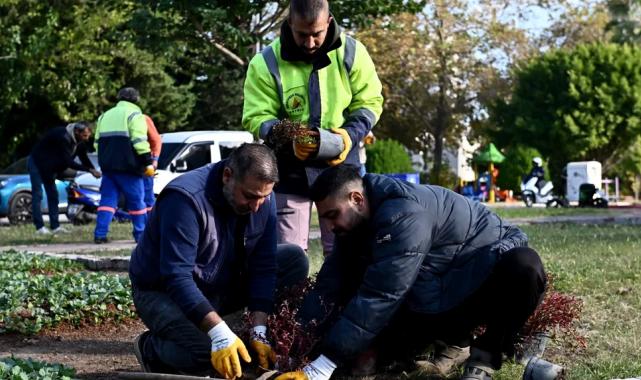 Antalya Muratpaşa’da Trafik Parkı çiçek bahçesine dönüştü