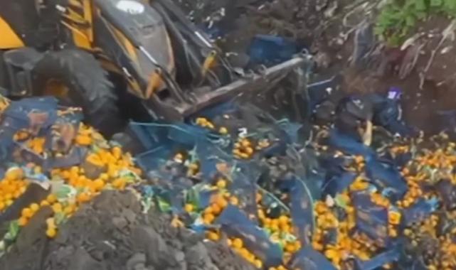 Artvin Sarp Sınır Kapısı’nda 6,1 ton mandalina imha edildi!