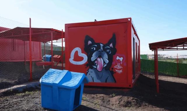 Balıkesir’de can dostlar için doğal yaşam alanı