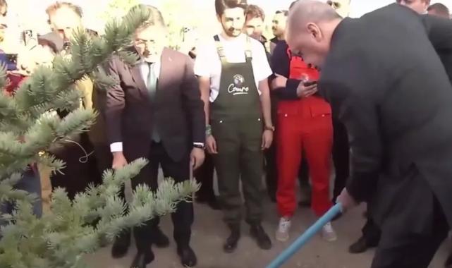 Cumhurbaşkanı Erdoğan: Her karış vatan toprağını yeşille, hayatla, umutla buluşturacağız