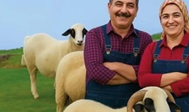 Denizli Büyükşehir’den üreticiye koyun ve koç desteği
