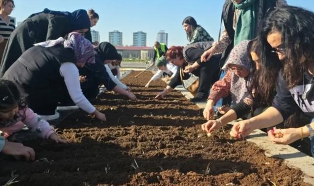 Diyarbakır Tıbbi ve Aromatik Bitkiler Atölyesi’nde safran ekimi