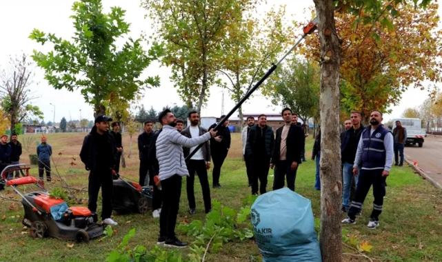 Diyarbakır’da üniversite öğrencileri sahada budama tekniklerini uygulamalı öğrendi