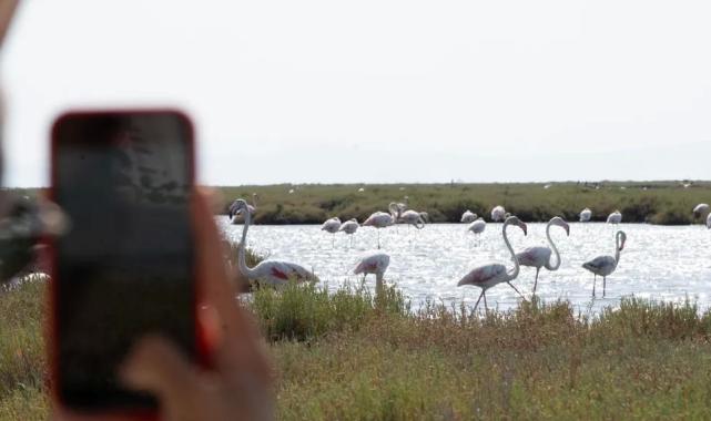 Doğa ve lezzet tutkunları bu turları çok sevecek