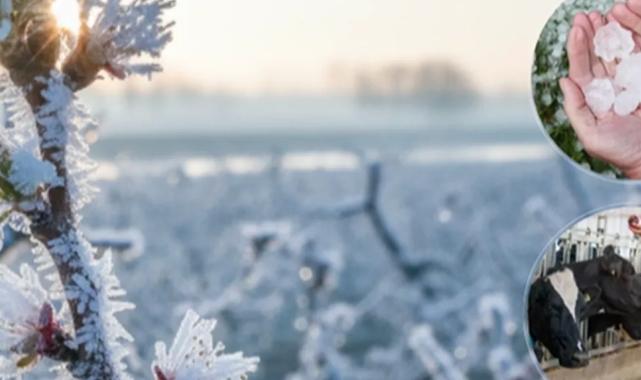 Ekim’de üreticilere 11,6 milyar TL hasar tazminatı ödendi