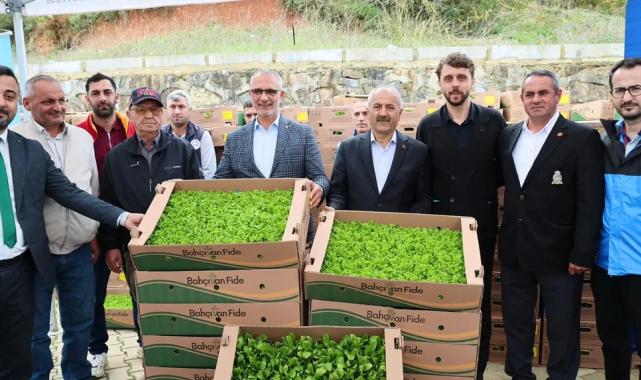 Gebze’de sebze fideler dağıtıldı