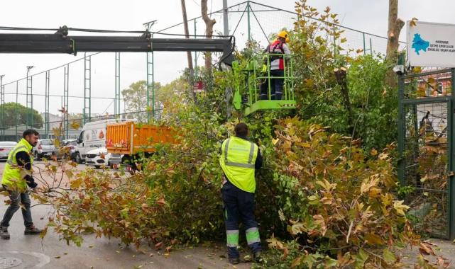 İstanbul Maltepe’de budama zamanı
