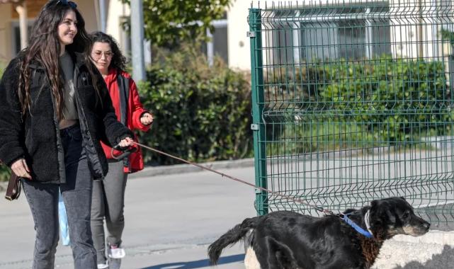 İzmir Menemen’deki yangından kurtarılan 17 hayvana Büyükşehir sahip çıktı