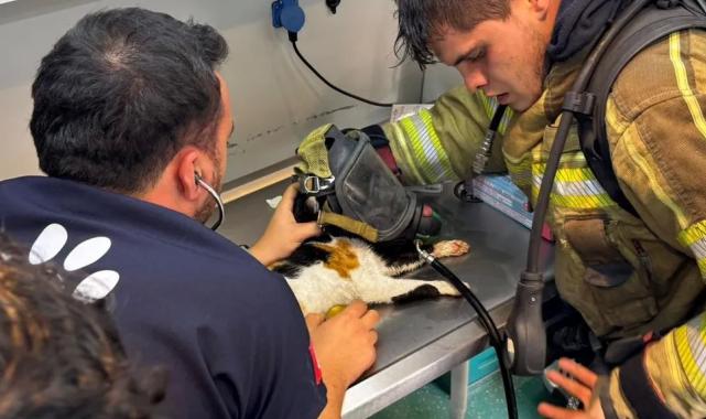 İzmir’de itfaiyeden can dostlara kahramanca müdahale