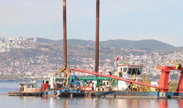 İzmit Körfezi yeniden nefes aldı… Temizlenen körfezde artık yunuslar dans ediyor