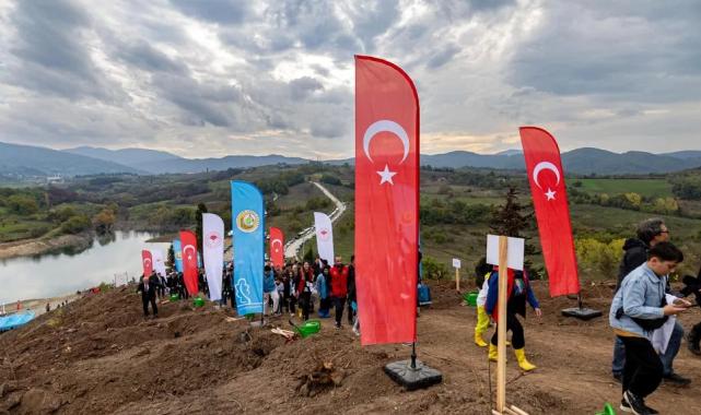 Karamürsel’de yanan bölge 3 bin fidanla yeşerecek