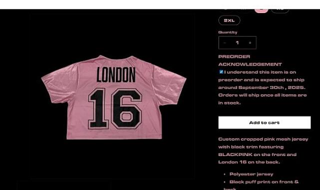 Kaspersky, BlackPink Dünya Turu Sırasında Ortaya Çıkan Sahte Ürün Dolandırıcılıklarını Tespit Etti