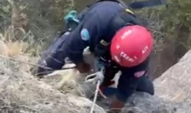 Kayseri Büyükşehir itfaiyesi mahsur kalan keçiyi kurtardı