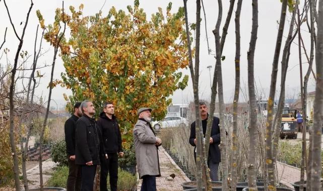 Kayseri Kocasinan şehri yeşile boyuyor