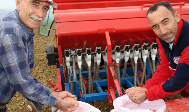 Kocaeli’nin hibeli tohumları toprakla buluştu