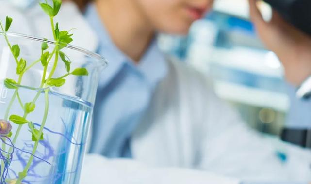 Laboratuvar denetimlerinde yeni kural! Cezalarda tarih hesabı il müdürlerine bağlandı