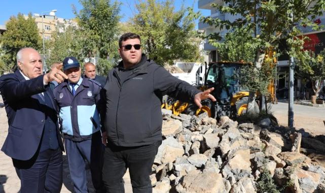 Mardin Yeşilli’de büyük dönüşüm… 50 bin ağaçlık yeşil hamle