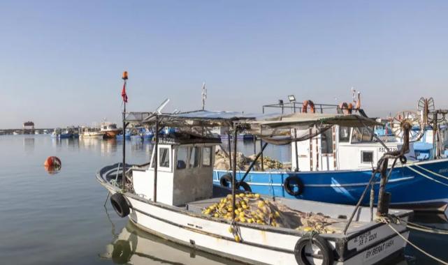 Mersin’de ‘Denizleri Ağlatmayın’ projesi hayata geçti