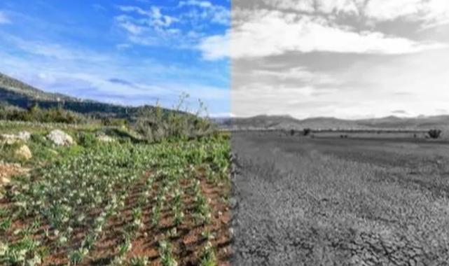 Mersin’de iklim ve yeşil dönüşüm önceliği