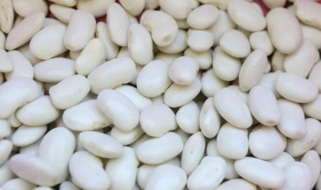 Mersin’de Leklek Fasulyesi yeniden hayat buluyor