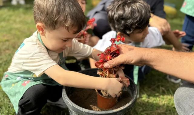 Minik eller Sakarya’da umut ekti